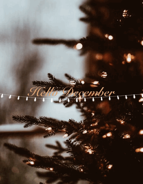 First, last & always — ⭐️Hello December ⭐️ gifs/ edit made by me :)