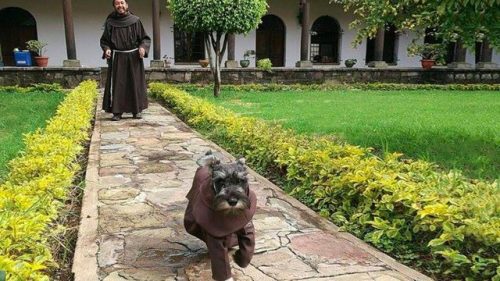 bunnyfood:Monastery Adopts Stray Dog and Names Him ‘Friar Mustache’ (via  Rover.com)