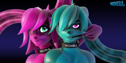 voxellvoxell:    Pixell and Voxell fooling