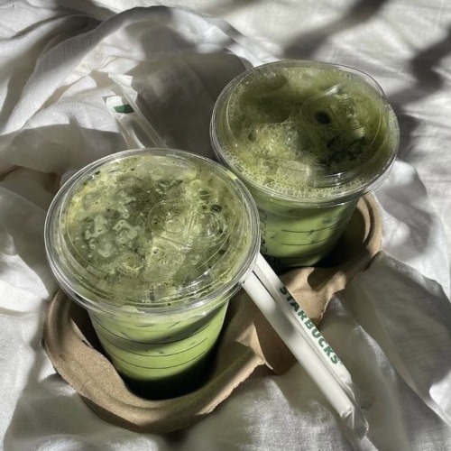 Iced Matcha Latte - Sjh