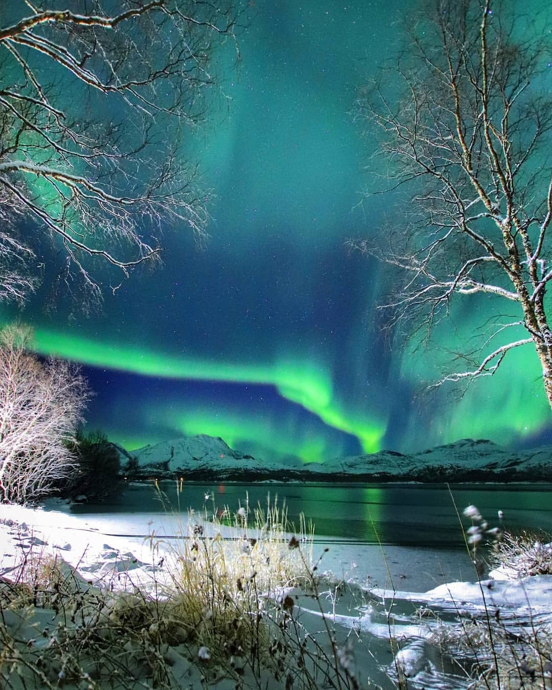 quiet-nymph:Lise Johansen❄Northern Norway❄
