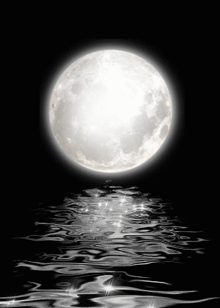 Meet me in that wonderful dream….