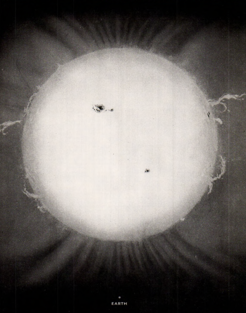 nemfrog: The sun with the earth shown near the bottom as a tiny dot.  Larousse Encyclopaedia of