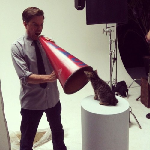 crazycomplicated:  Ed and a cat