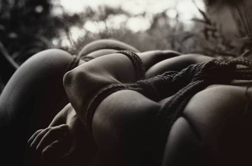 En el bosque  #shibari #kinbaku #cuerdas #ataduras #bondage #rope #縛り #緊縛 #nature #girl