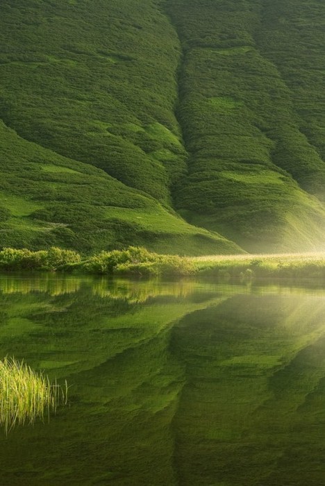 asylum-art-2:   Incredible Beauty of  Wild Nature   As an author of Empty Kingdom,