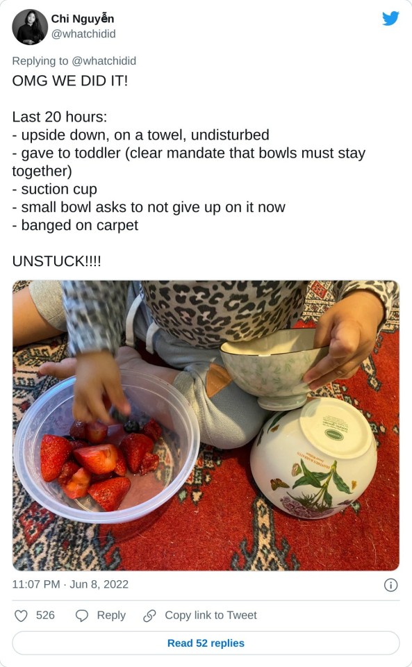 OMG WE DID IT! Last 20 hours: - upside down, on a towel, undisturbed - gave to toddler (clear mandate that bowls must stay together) - suction cup - small bowl asks to not give up on it now - banged on carpet UNSTUCK!!!! pic.twitter.com/zllvidh07H — Chi Nguyễn (@whatchidid) June 8, 2022