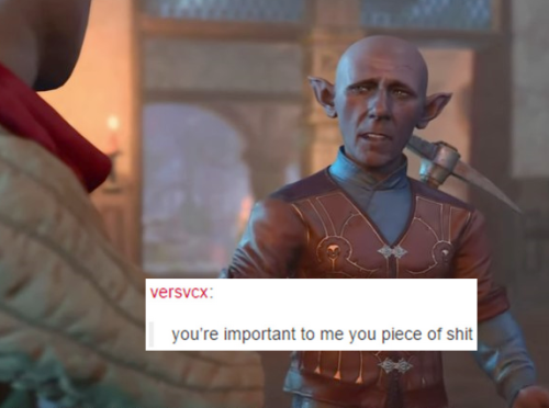 Screenshot of Barcus Wroot (with Wulbren Bongle in the foreground) from BG3. Pasted on text post: "you're important to me you piece of shit."
