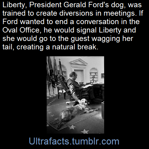 ultrafacts:  SourceFollow Ultrafacts for more facts