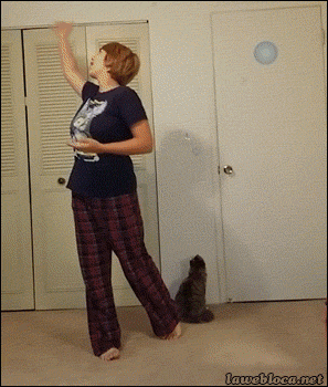 lawebloca:  Cat Turns Off Light to Stop Girl’s ‘Let It Go’ Performance Video