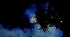 napoleonwilsons:The Föhn, very particular wind. <…> Upon it blows, there are those who say it 