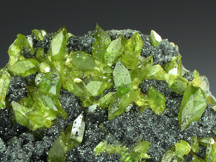 underthescopemin:  Titanite Excellent lustrous rich green crystals of Titanite admirably