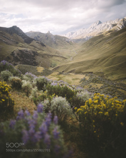 go4photos:  Valle Rondoy by alexstrohl