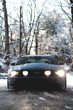 motivationsforlife:  Mustang by Nick Kraft