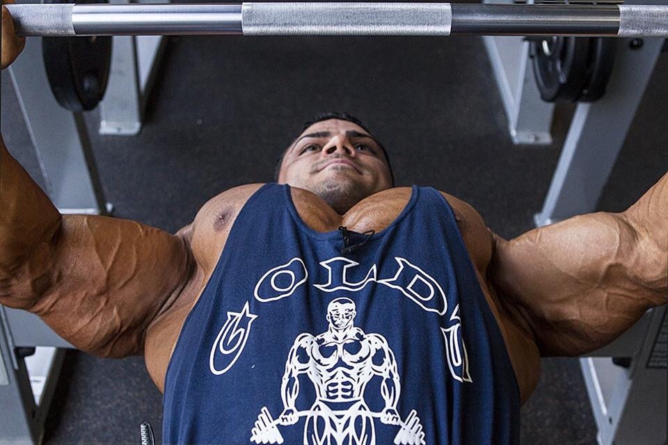I Love Huge Muscles