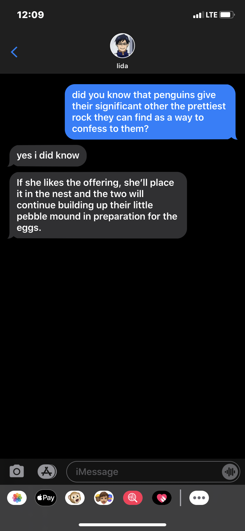 Did You Know Penguins.... - Text Reactions