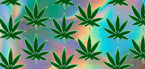 Trippiest blog on Tumblr!