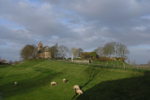 An artificial dwelling hill is a mound, created to provide safe ground during high tide and river fl