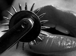 zamboni2u:  babblzoom:  Wartenberg wheel