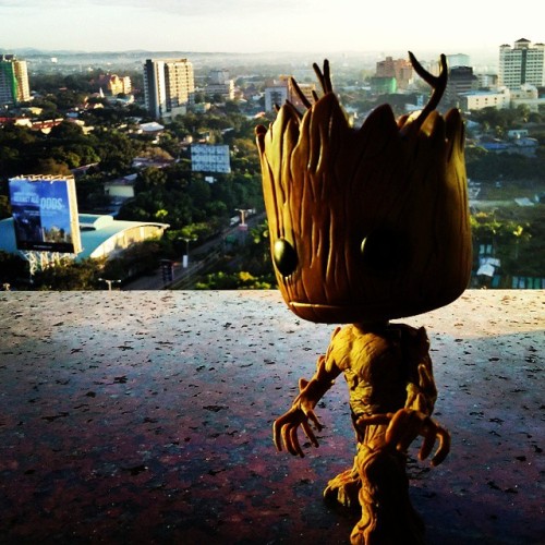 What A Very Groot Morning In The City! #groot #iamgroot #goodmorning #grootinthecity
