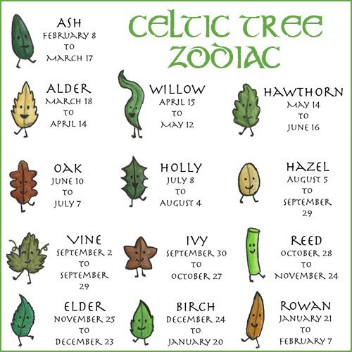 northorchard:  The Celtic Tree Zodiac is based on the ancient idea that the time of our births is pi