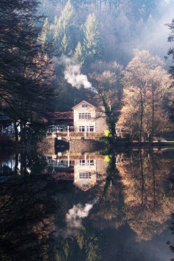 r2&ndash;d2:  Waldsee by (Chris Smith) 