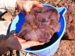 ifuckingloveminerals:  Amethyst “The Valley Of The Kings,“ Northern Territory, Australia 