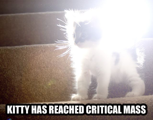 seananmcguire: sophiaslittleblog:  tzikeh:  owl-librarian:  sasgalula:  coolcatgroup: