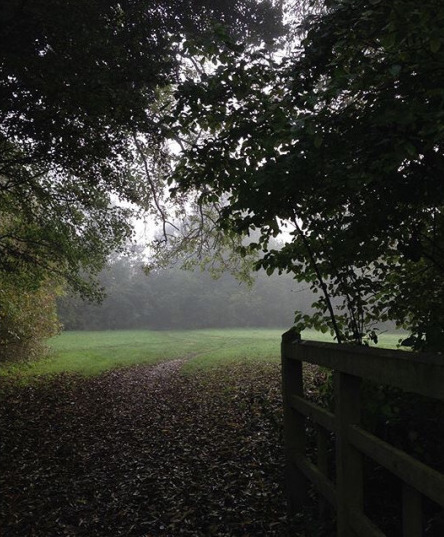 Wistfully Country