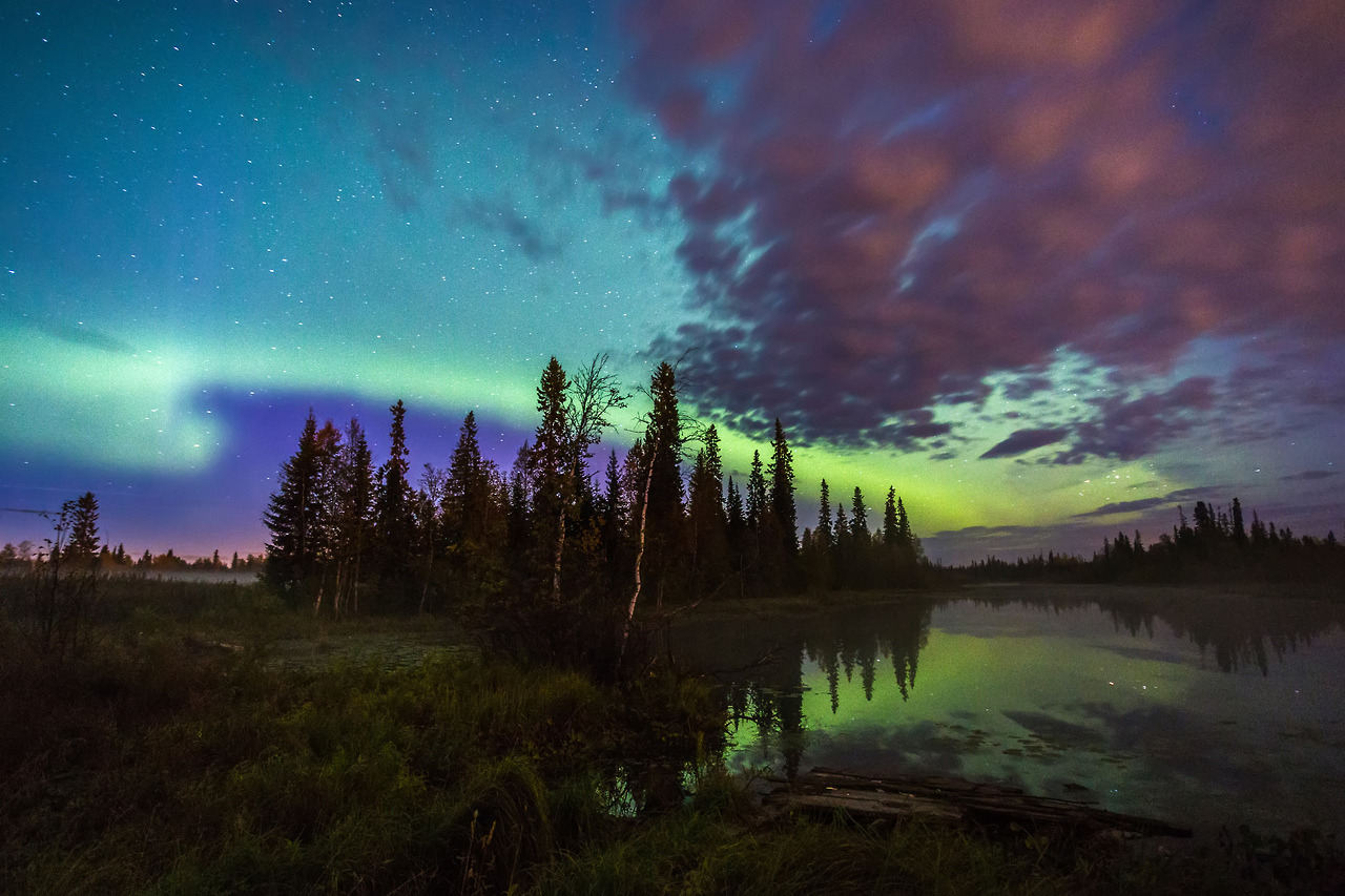 expressions-of-nature:The September Flashes by Anatoly