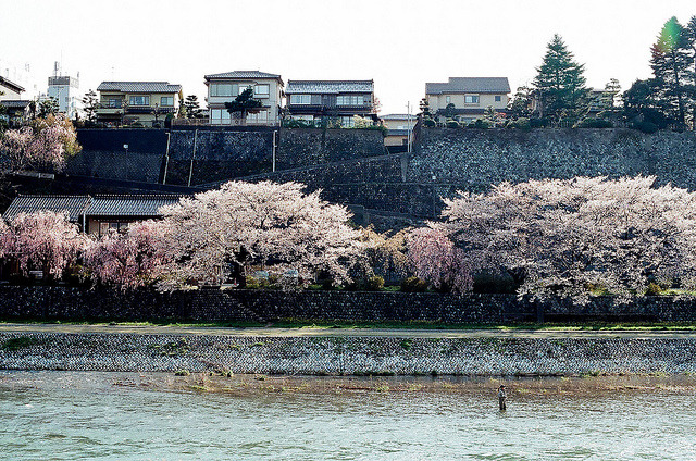 yukku-ri:  石伐坂（Ｗ坂） by tobimaru on Flickr.