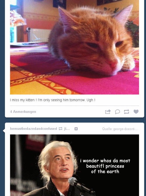 jimmy-pagemakesmewetmypants:Aww look! Jimmy likes your cat! :’)OMG