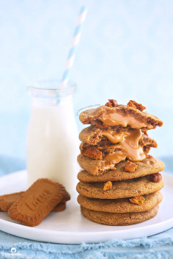 guardians-of-the-food:  Biscoff Explosion Cookies  Omg!