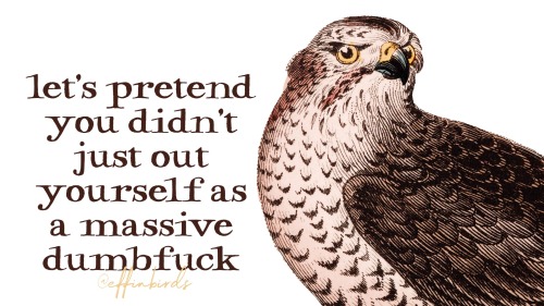 effinbirds: