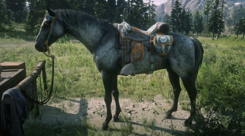 Showcasing the horses I have in “Red Dead Online”. Some new, some old with a lot le