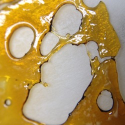 thcdoll710:  Happy shatterday kids!