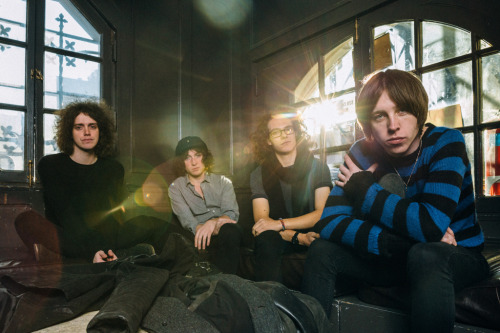 catbmen:These photos are amazing. Catfish and the Bottlemen by Rachael Wright