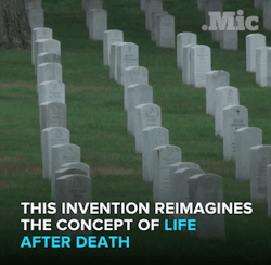 The-Future-Now:  The Bios Urn Isn’t The Only Green Death Option. Follow @The-Future-Now