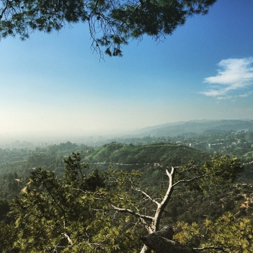 #LA (at Griffith Park Observatory)