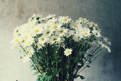 walterlandx:  uzaydangeldiim:  comeandhugmebaby:  limonluciizzkek:  mutluyumutlusun:  en sevdiğim çiçektir kendisi  çiçektir en sevdiğim kendisi  en sevdiğim kendisi çiçektir  kendisi çiçektir en sevdiğim  kendisi en sevdiğim çicektir 