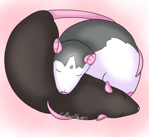 shivers-sketches:Rattober Day 14: Bonded Rats!Kofi | Redbubble | Etsy | Commissions