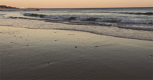 pedromgabriel:  - Ocean flows at dusk -{ Olhos de Água Beach }Shot by me and edited
