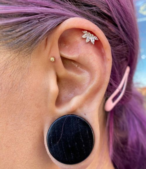 allthepiercingsandbodymods:Ear piercings by piercings.by.anji. Jewellery by @buddhajewelryorganics a