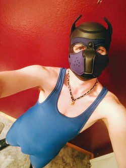 pupkappa:  Singlet party puppy