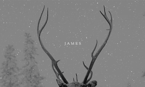 ravnclaws:          we rise               and we fall                    and we break     (insp.)