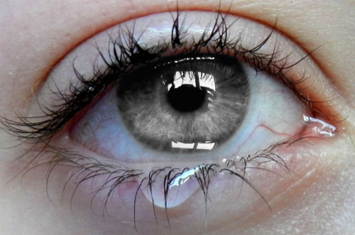 totallytransparent:Semi Transparent Eye (iris matches the colour of your blog)Made by Totally Transp