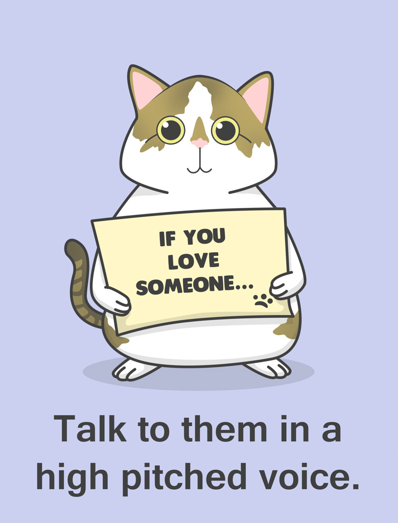 aimeetrawick:  Hoppy Cat shares advice on showing affection!  