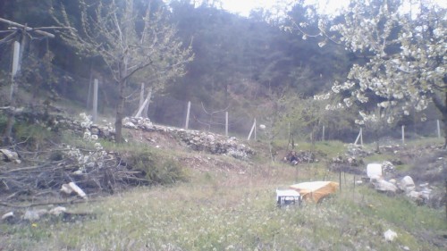 burası benim yayla bahar ayı
