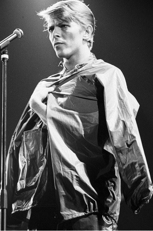 wingedbelievereagle: DAVID BOWIE PHOTO  BY ANDREW KENT  😍 