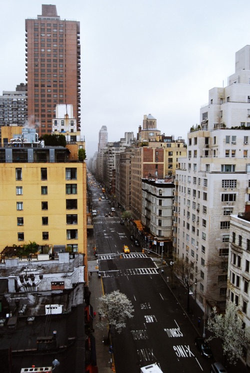 ocevns:  New York City Spring 2014 Photographer: Matt Fish 
